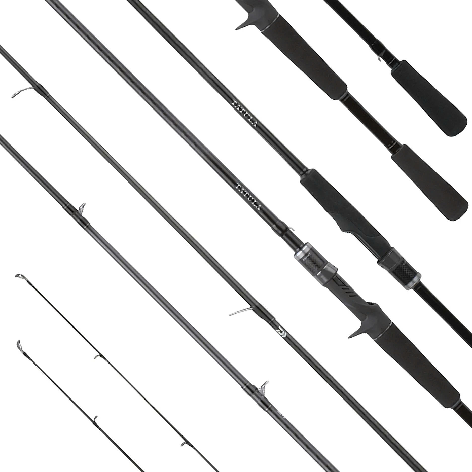 TATULA XT - Âu Mỹ