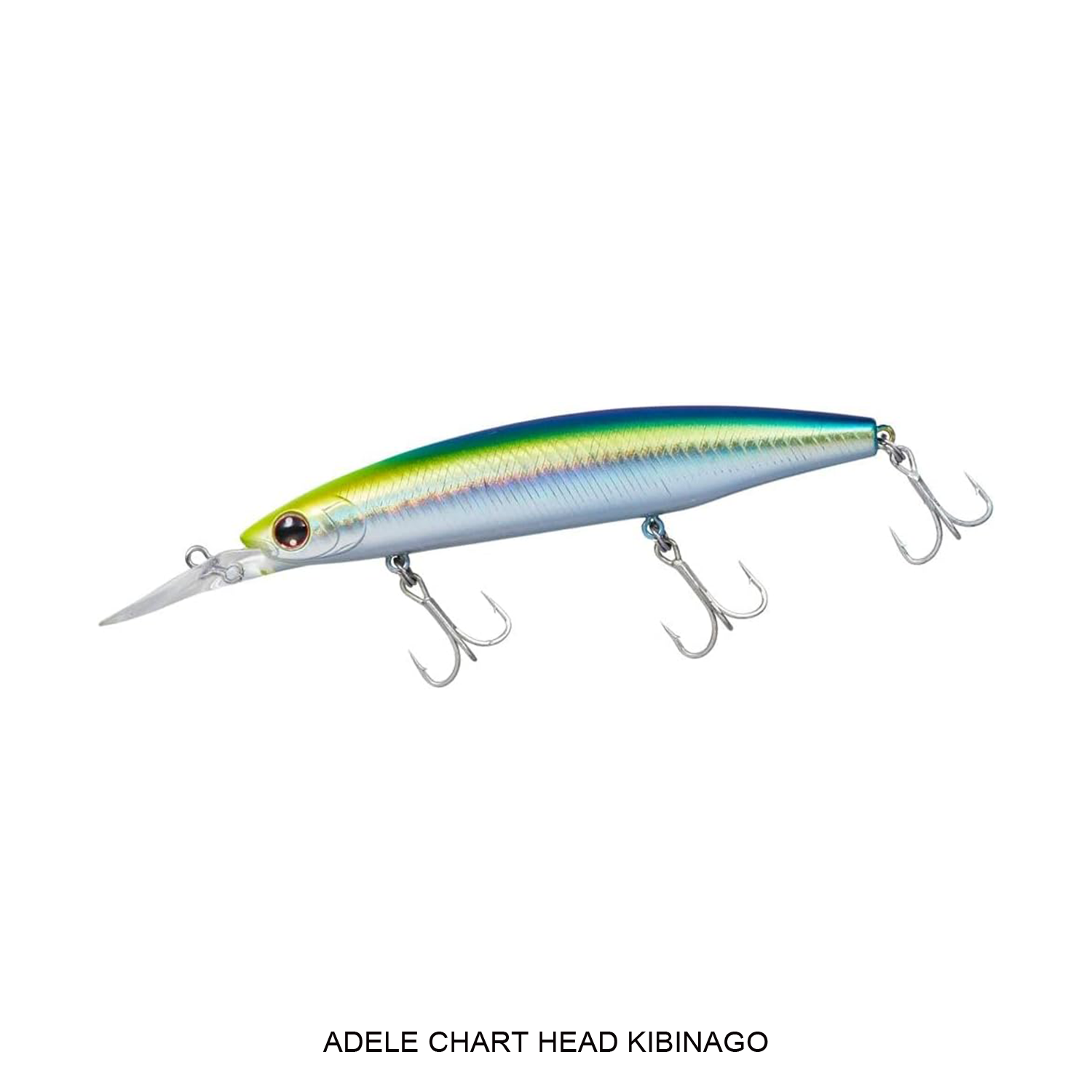 SHORELINE SHINER Z SETUPPER 110S-DR