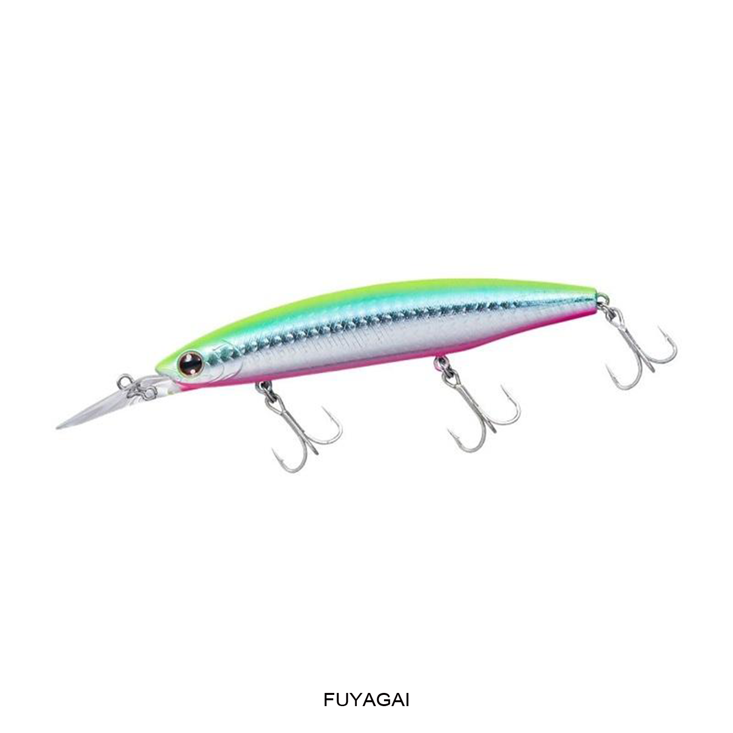 SHORELINE SHINER Z SETUPPER 110S-DR