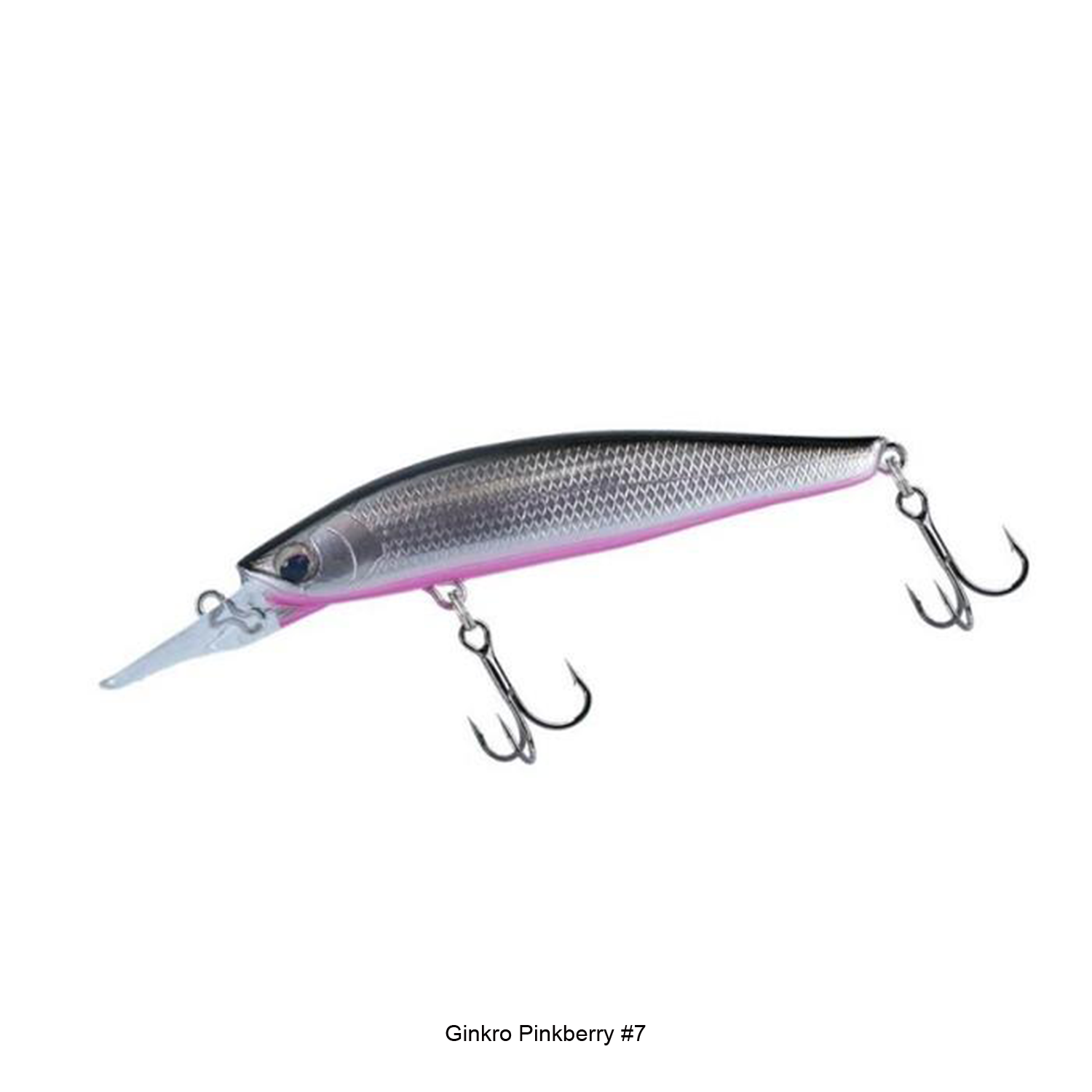 SILVER CREEK MINNOW
