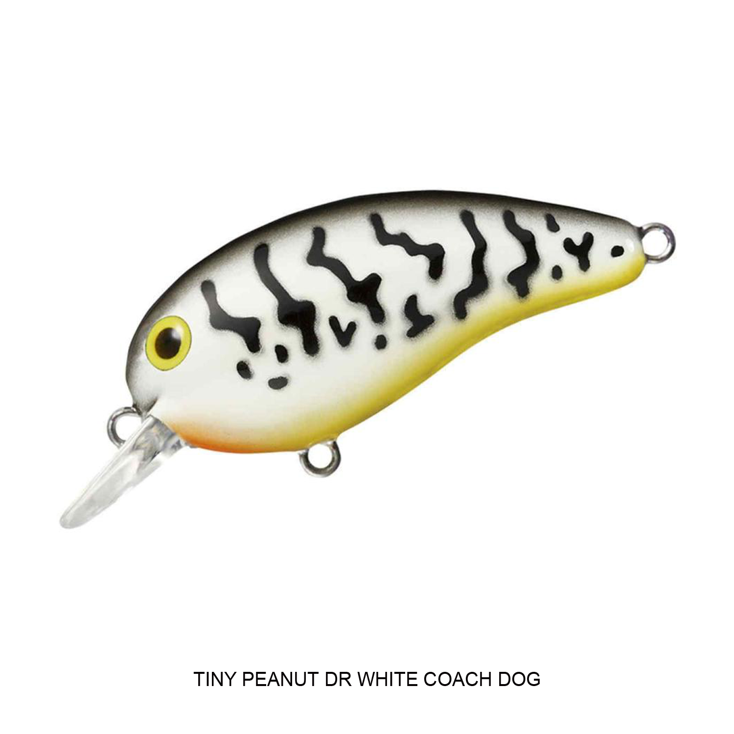 TINY PEANUT