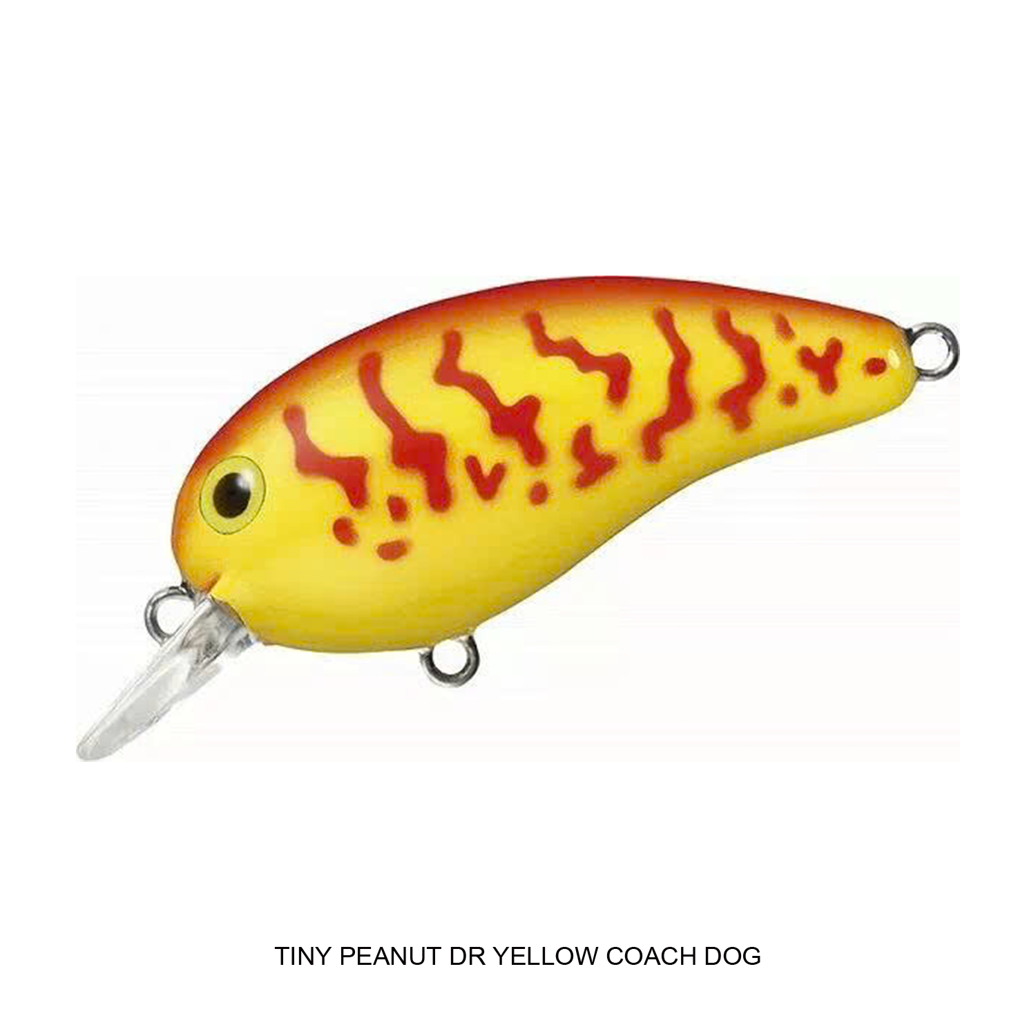 TINY PEANUT